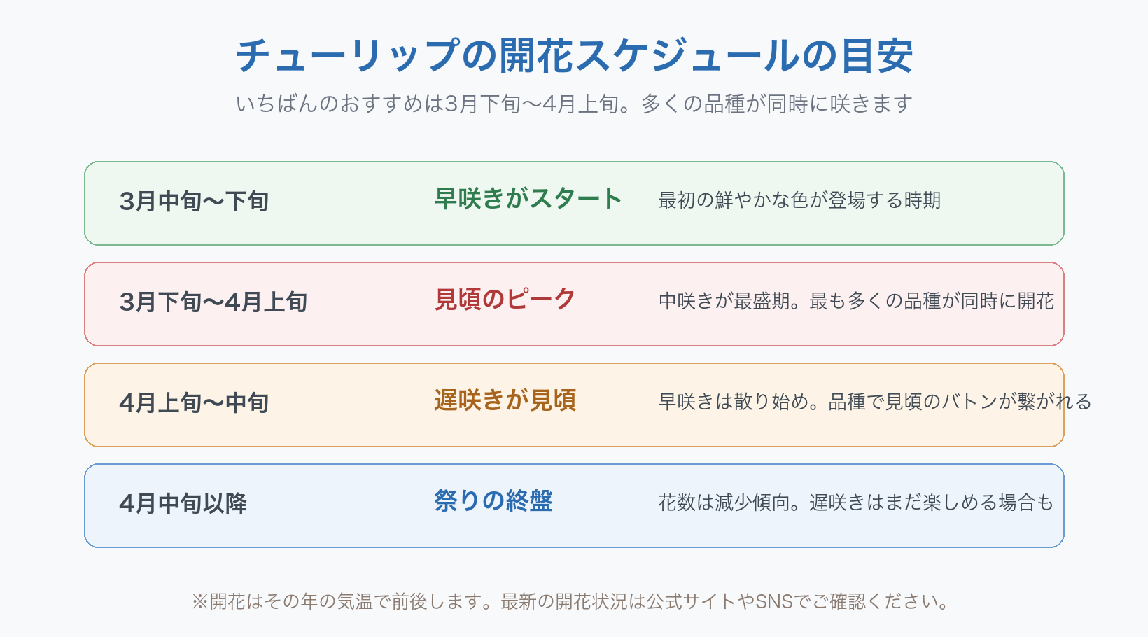 ハウステンボスのチューリップの開花スケジュールの目安を示した図。3月中旬から下旬は早咲きがスタートし、最初の鮮やかな色が登場する時期。3月下旬から4月上旬が見頃のピークで、中咲きが最盛期を迎え、最も多くの品種が同時に開花します。4月上旬から中旬は遅咲きが見頃で、早咲きは散り始め、品種で見頃のバトンが繋がれます。4月中旬以降は祭りの終盤で花数は減少傾向ですが、遅咲きはまだ楽しめる場合もあります。開花はその年の気温で前後します。